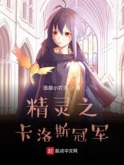 神奇宝贝卡洛斯联盟冠军