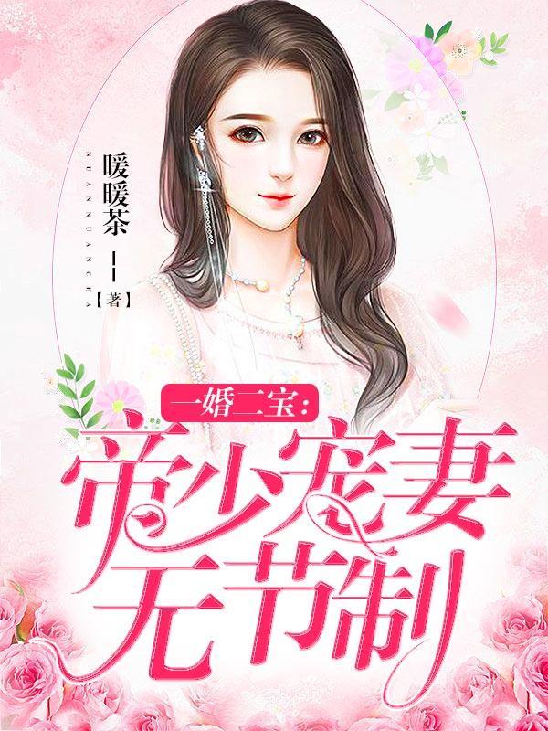 一婚二宝帝少宠妻无节制暖暖茶