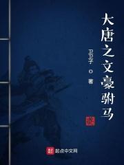 大唐驸马飞卢