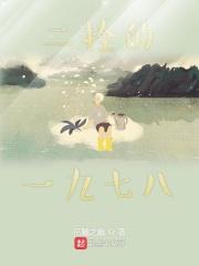 一九七八是什么生肖