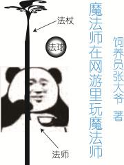 有魔法师职业的游戏