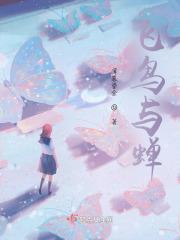 飞鸟与蝉什么意思