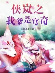 侠岚之主受