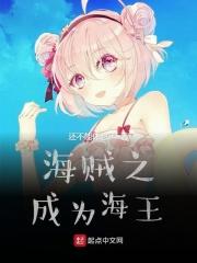 海贼王之当海军