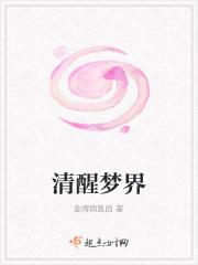 清醒梦梦境完全使用手册pdf