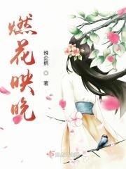 燃花映晚歌曲歌词全部