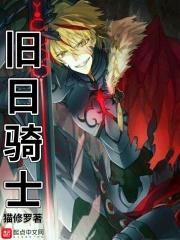 旧日骑士冠军
