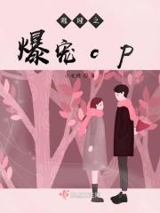 好看的推理宠文