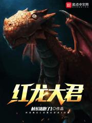 大红龙小红龙