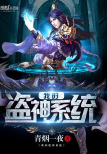 盗神系统txt
