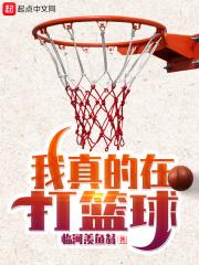 我真的在打篮球百科全书免费阅读