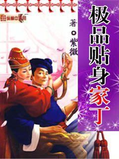 龙王殿赘婿
