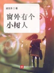 窗外有树好不好