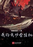 我的武功会挂机zp