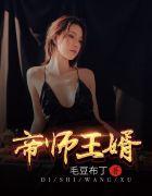 帝师王婿全集观看