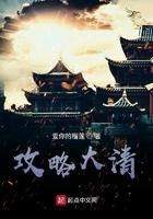 攻略大清 txt