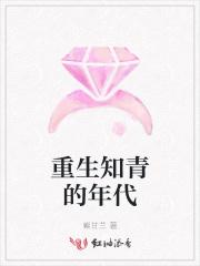 重生知青的年代李雪梅
