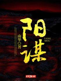 阳谋 南华