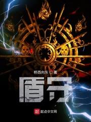 圣盾组合