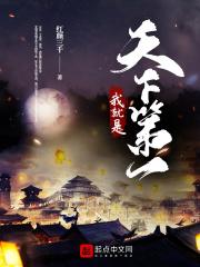我就是天下第一帅