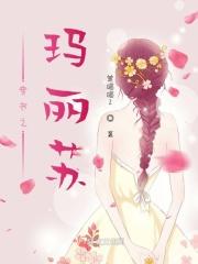 穿书玛丽苏文推荐