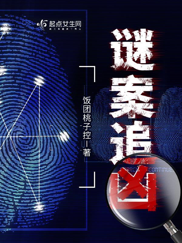 迷案追凶大结局