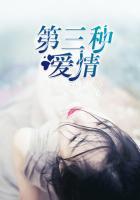 爱情公寓4番外