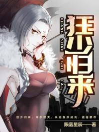 狂少归来3