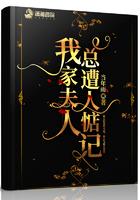 我家夫人是总裁gl全文免费阅读