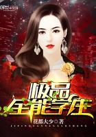 极品全能高手动漫在线观看免费完整版