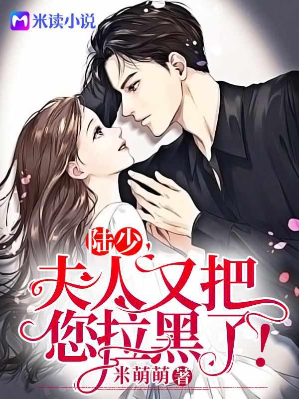 高冷陆少追妻路全文免费无广告