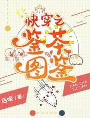 快穿之鉴婊专家免费阅读