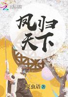 凤归天下短剧电视剧