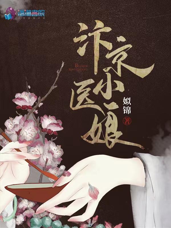 汴京小医娘正版免费阅读