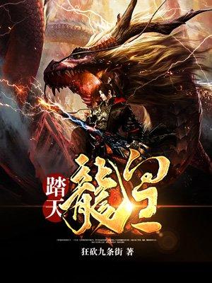 踏天龙皇txt