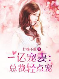 总裁的一亿万天价妻