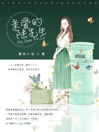 亲爱的陆先生bl