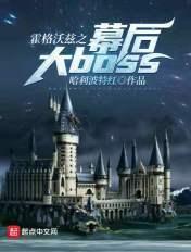 霍格沃兹之幕后大Boos