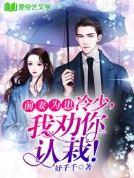 冷情总裁前妻不二嫁