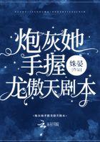 炮灰女配手握龙傲天剧本殊晏