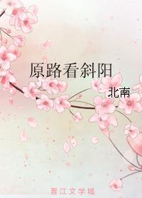 原路看斜阳长佩