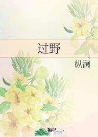 过野新版结局txt