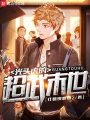 光头虎的超武末世顶点