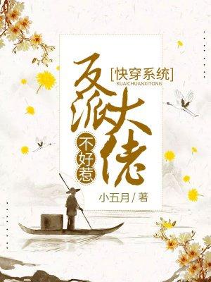 快穿系统反派大佬不好惹无广告