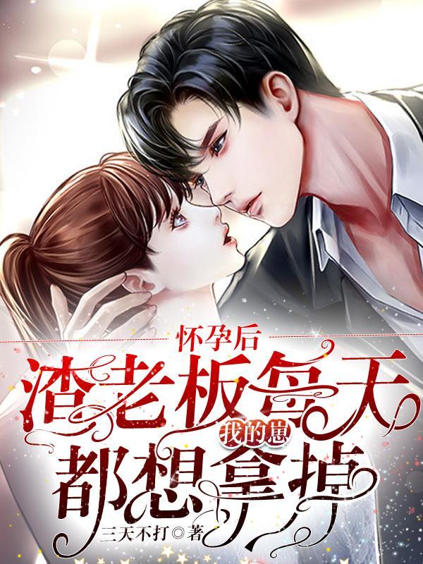 江律师沈律师的