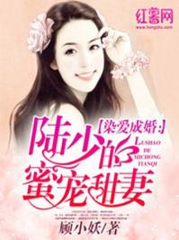 陆少甜蜜宠妻陆琛