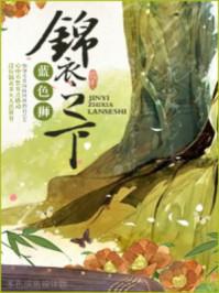 锦衣之下共有多少集