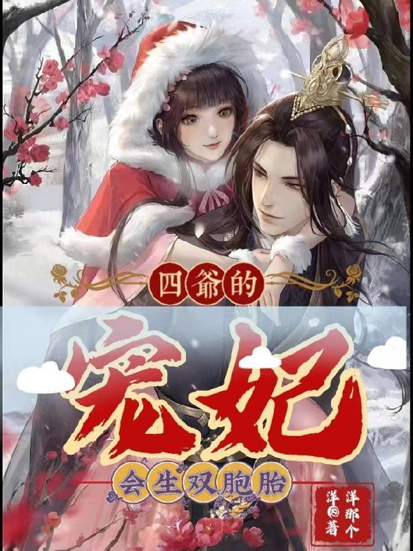 四爷是谁