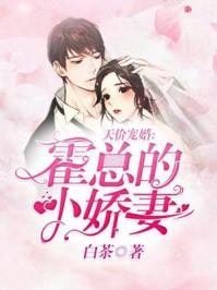天价宠婚霍总的小娇妻免费阅读全文免费阅读