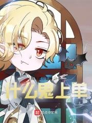 什么上单帅
